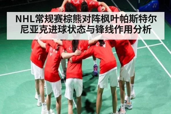 NHL常规赛棕熊对阵枫叶帕斯特尔尼亚克进球状态与锋线作用分析（kaiyun）